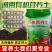 营养土，育苗基质，大量有货，厂家直销。欢迎咨询
