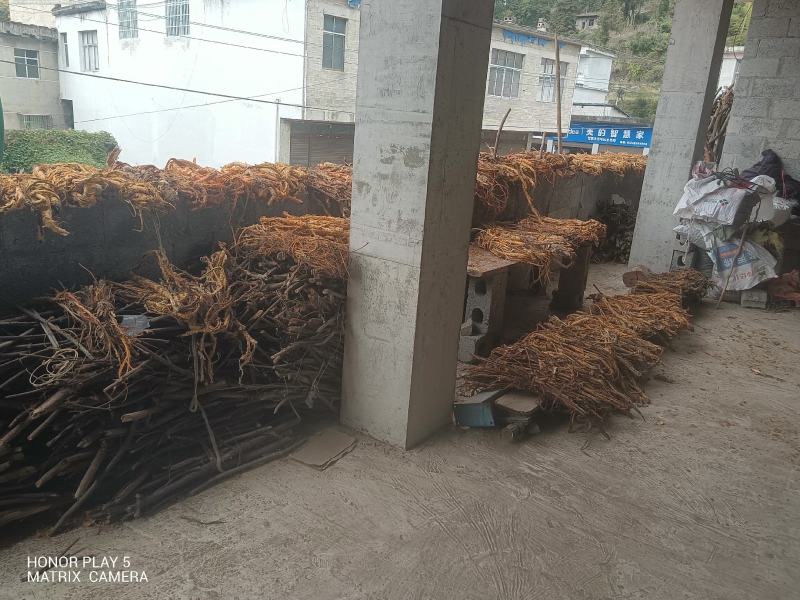 桑白皮野生山货质量杠杠的无污染