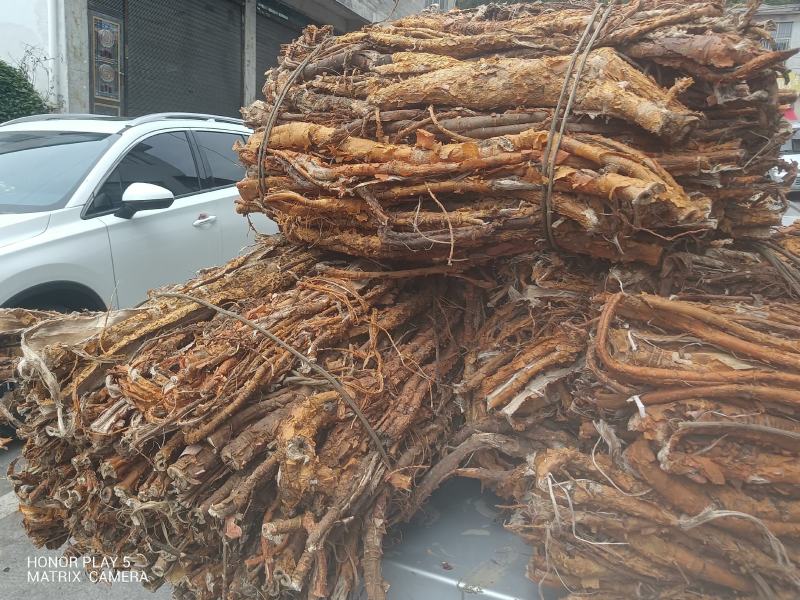 桑白皮野生山货质量杠杠的无污染