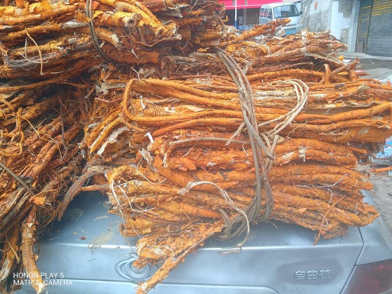 桑白皮野生山货质量杠杠的无污染