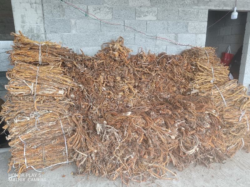 桑白皮野生山货质量杠杠的无污染