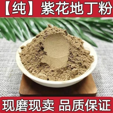 中药材紫花地丁粉无硫***地丁草粉纯地丁粉紫花地丁