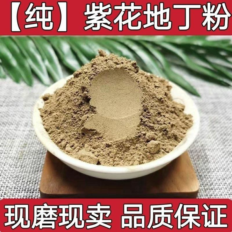 中药材紫花地丁粉无硫***地丁草粉纯地丁粉紫花地丁