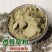 透骨草粉中药材珍珠透骨草现磨超细粉
