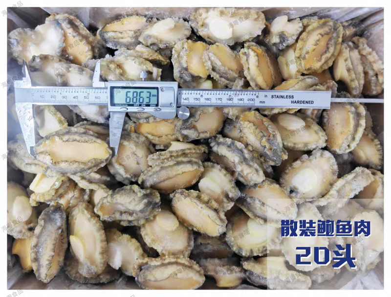 鲍鱼肉大规格15#【鲍鱼工厂】直供酒店餐饮佛跳墙食材