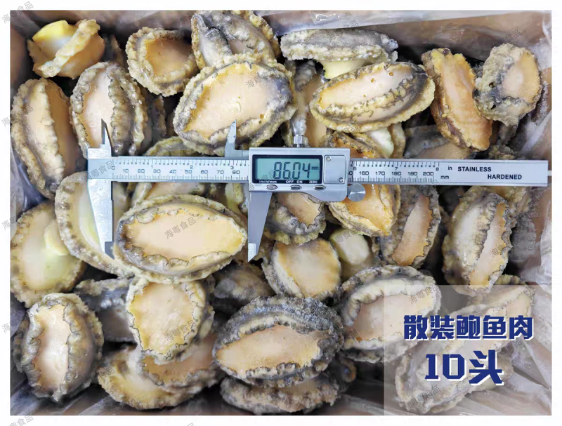 鲍鱼肉大规格15#【鲍鱼工厂】直供酒店餐饮佛跳墙食材