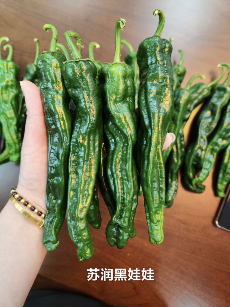 黑绿色皱皮椒种子苏润黑娃娃大黑皱皱椒种子特辣皱皮辣种子