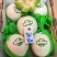 玉菇甜瓜精品白玉菇甜瓜奶香密可对接各大电商平台