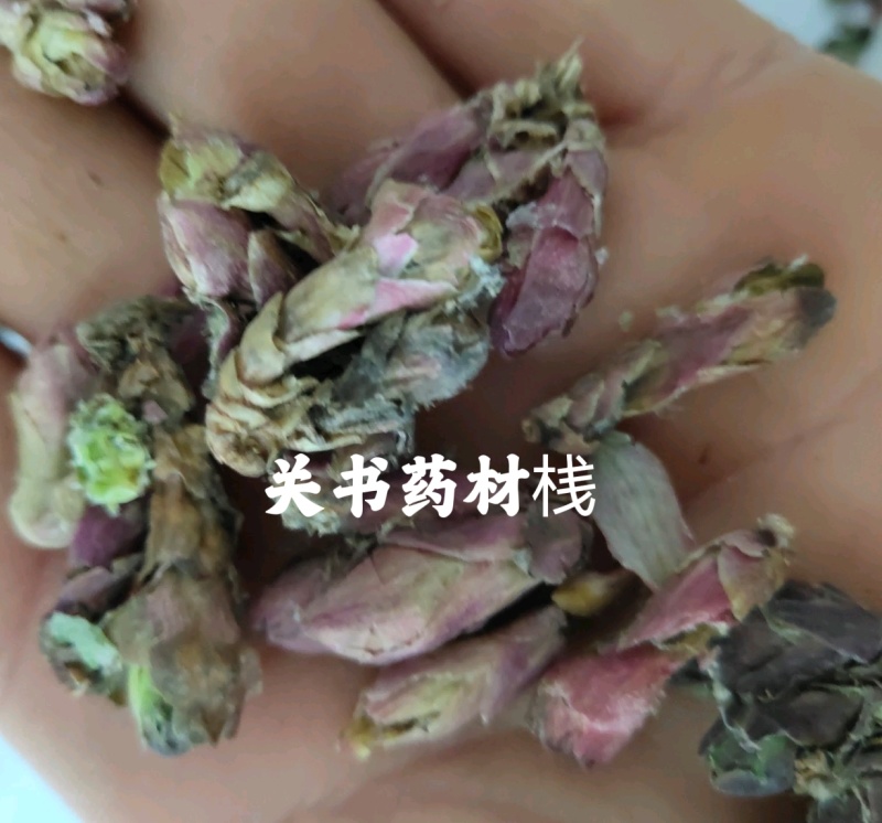 款冬花新货精选大花头颜色好1000g起批关书药业