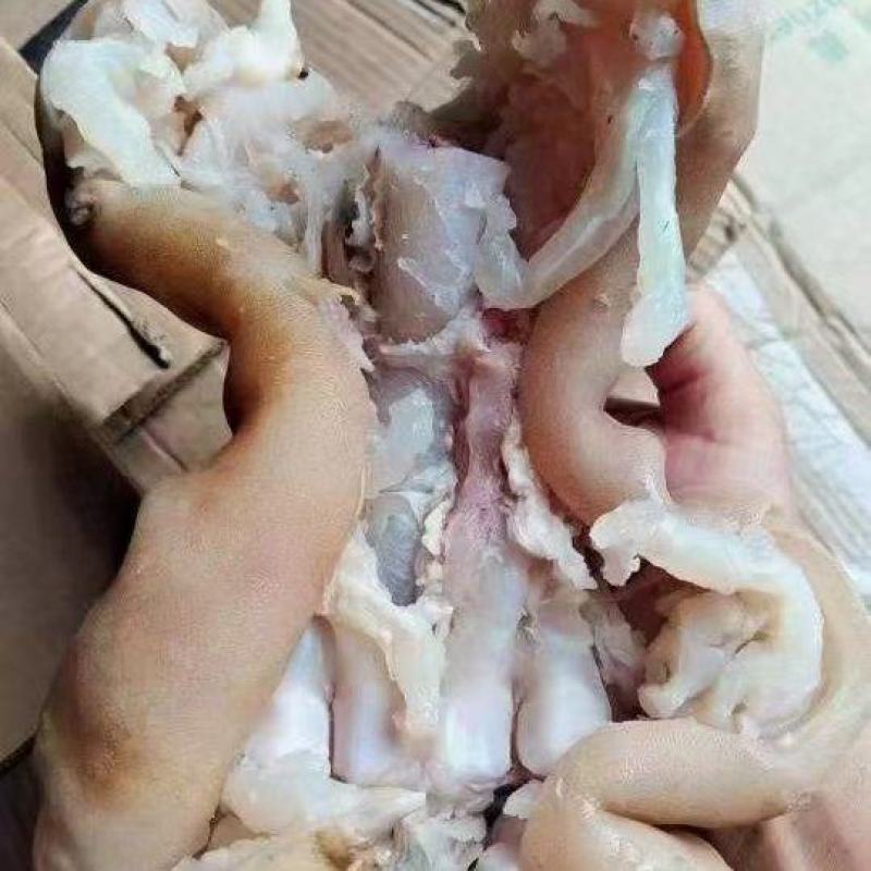 牛蹄，熟牛蹄厂家直发货源充足稳定，欢迎选购