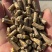 精品玉米颗粒饲料质量保证，价格合理对接全国，欢迎咨询