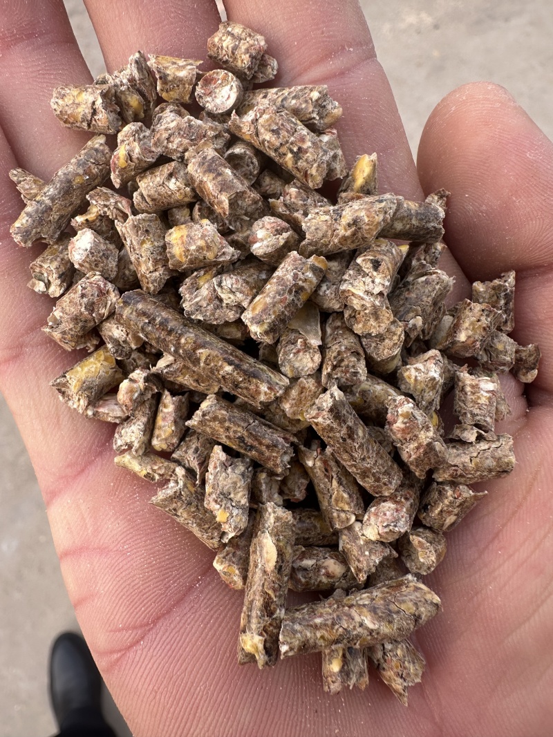 精品玉米颗粒饲料质量保证，价格合理对接全国，欢迎咨询