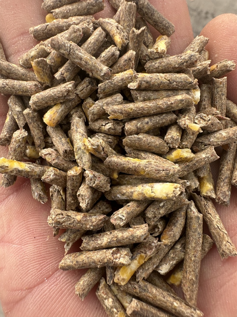精品玉米颗粒饲料质量保证，价格合理对接全国，欢迎咨询