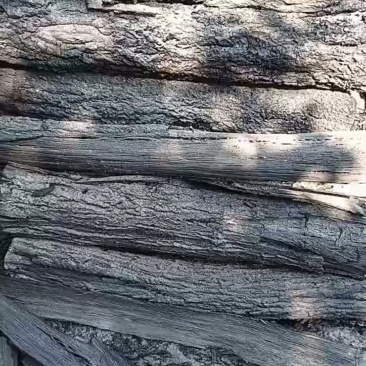 金刚木炭