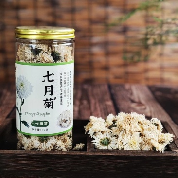 七月菊菊花茶