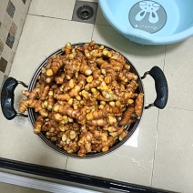 新鲜姜黄，药姜，小黄姜批零销售