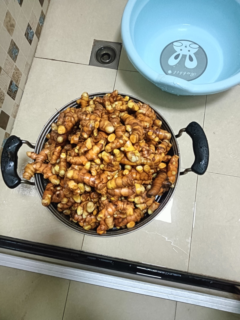新鲜姜黄，药姜，小黄姜批零销售