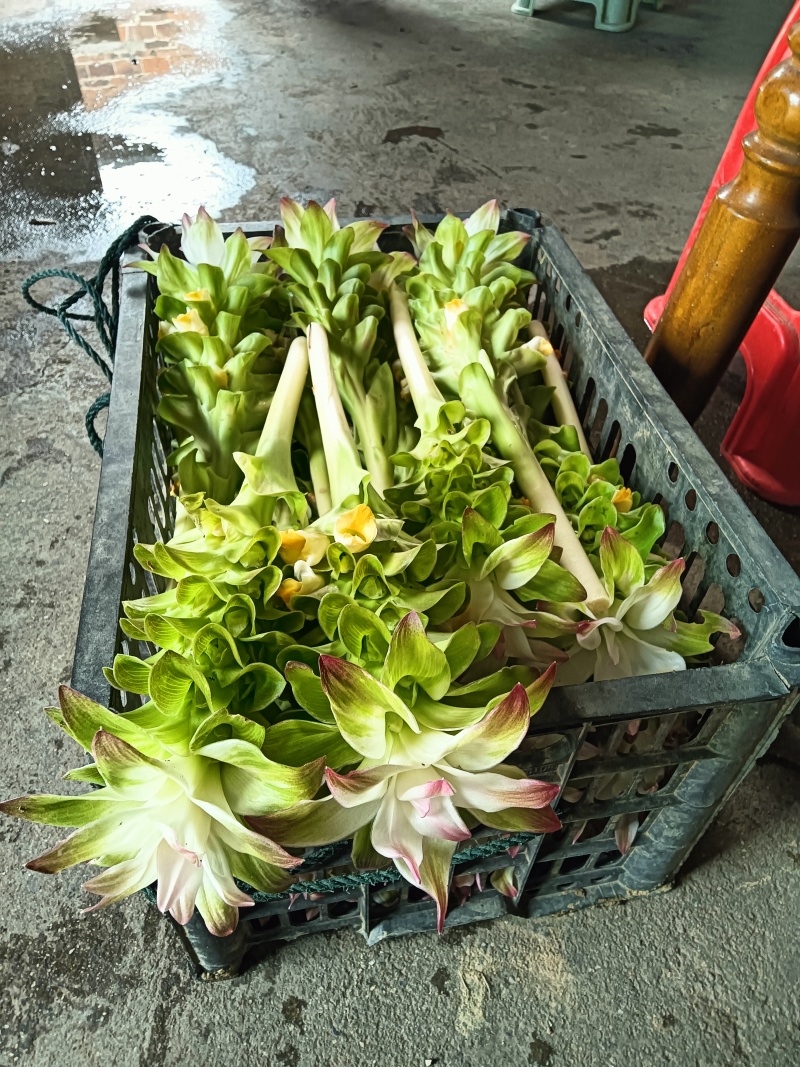 新鲜姜黄，药姜，小黄姜批零销售