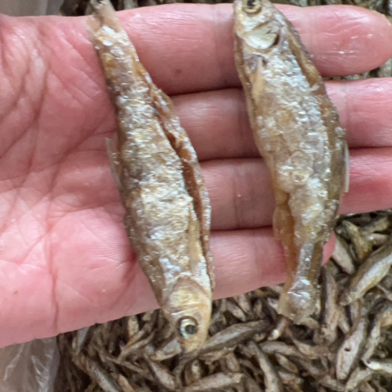 开肚油炸白肖鱼展会地摊电商油炸鱼白条鱼兰刀鱼干干鱼