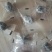 网红，椰蓉枣，新疆大枣，虎皮枣手工制作。