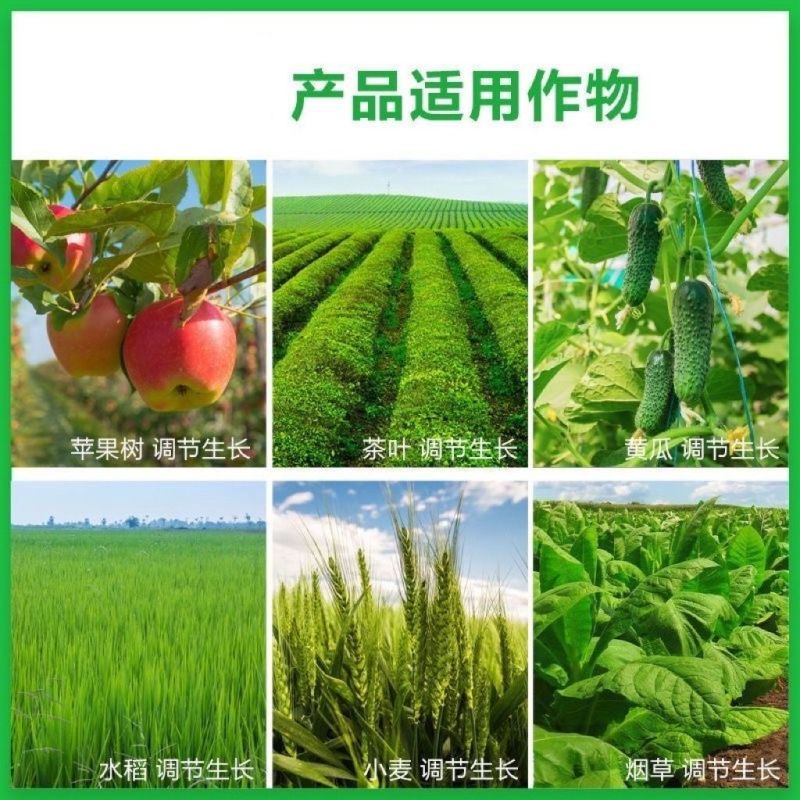 碧护植物生长调节剂赤霉酸吲哚芸苔素内酯解药害保花保果