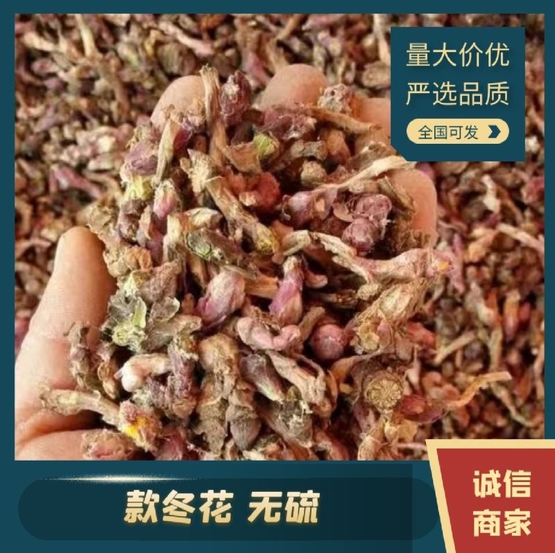 款冬花新货上市甘肃产地直供可视频看货量大重优。