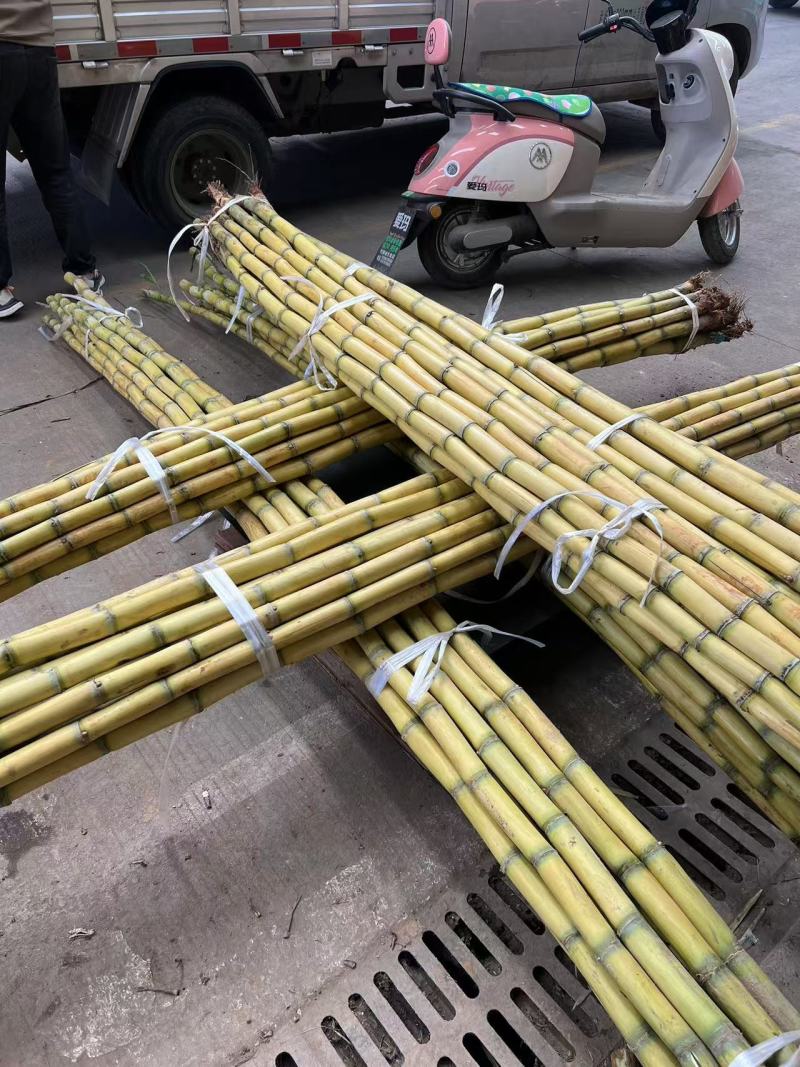 云南黄金甘蔗价格美丽货源充足品质保障