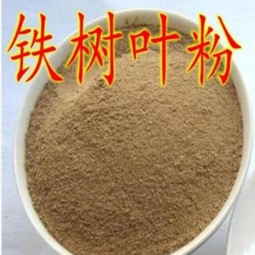 铁树叶粉铁树叶粉铁树叶天然铁树叶磨粉
