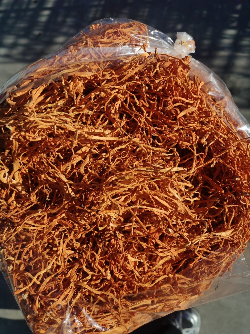 虫草花产地直销量大从优***********