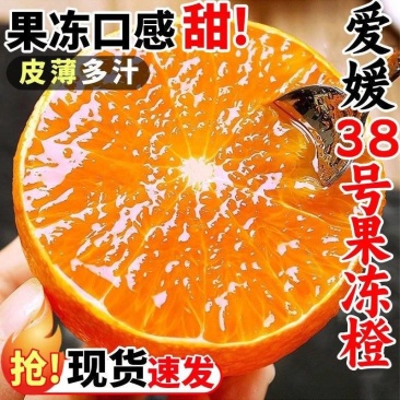 正宗四川眉山爱媛38号果冻橙接受价格定制，欢迎渠道对接，