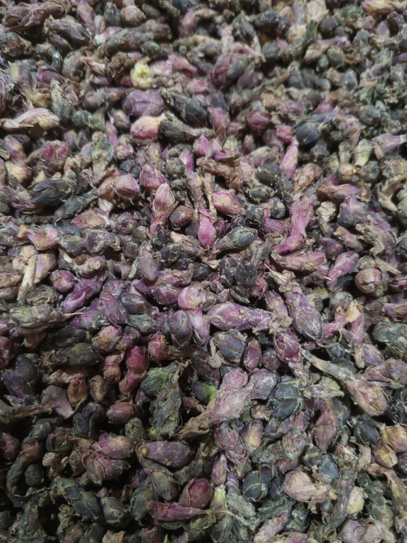 款冬花干货大量有货长期供应支持线上交易保障