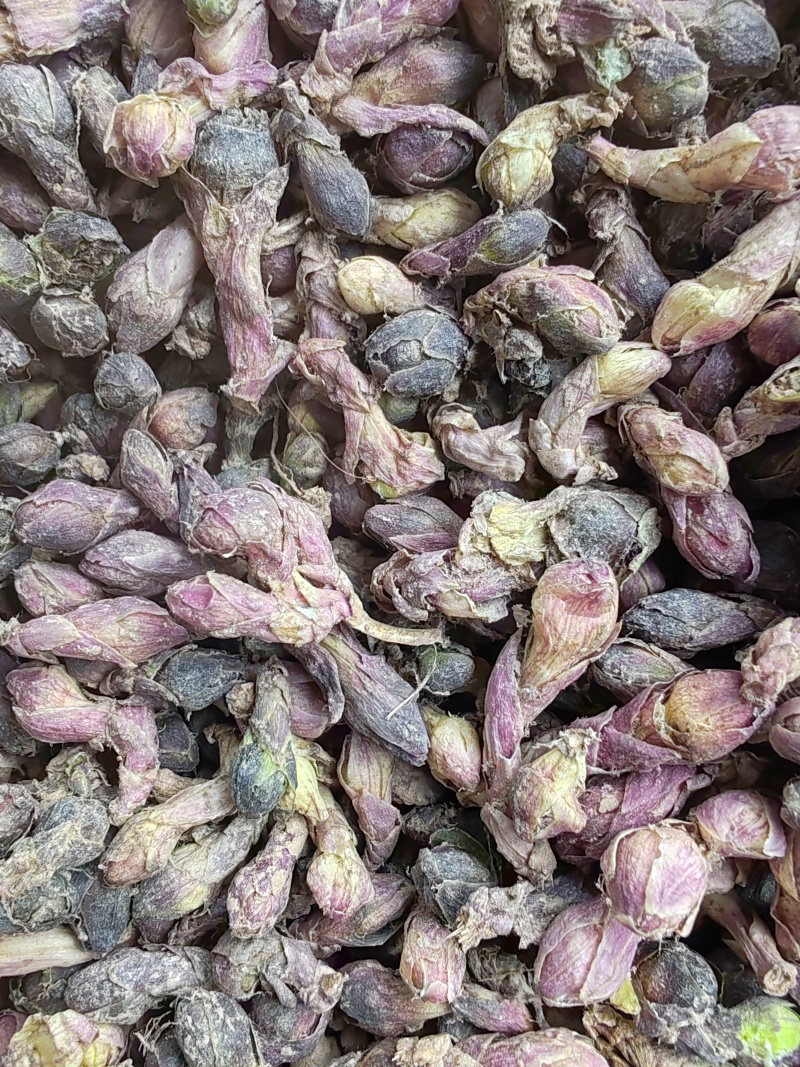 款冬花干货大量有货长期供应支持线上交易保障