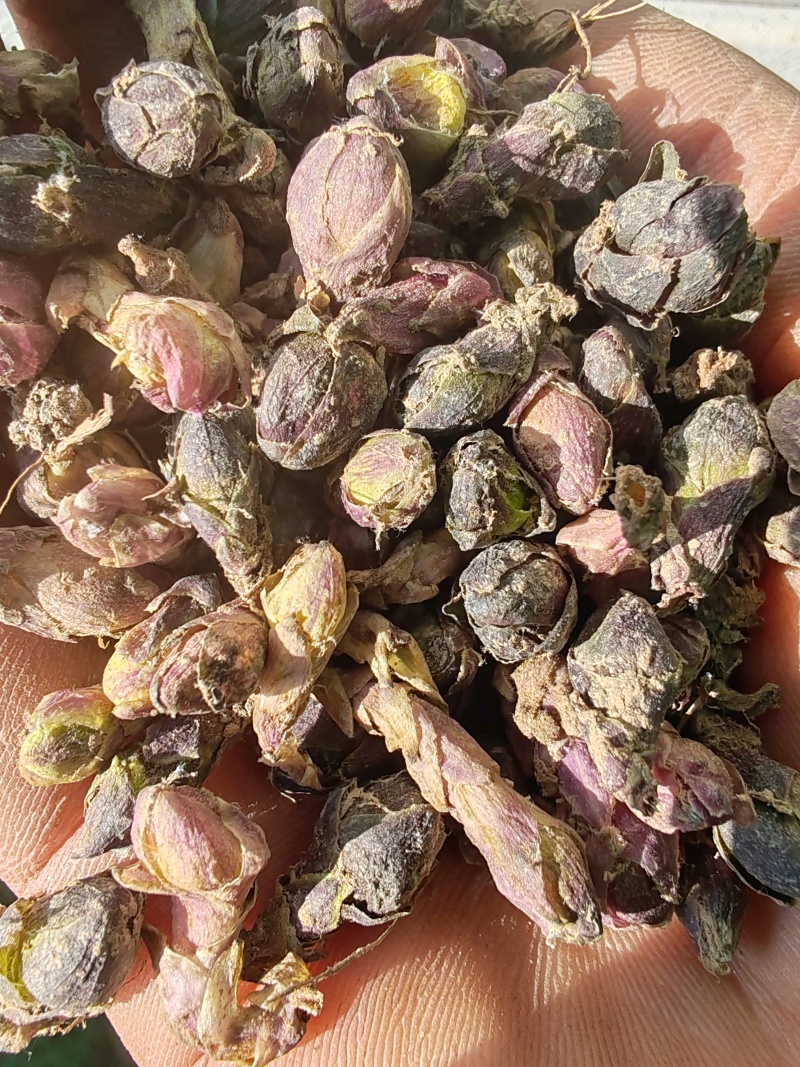 款冬花干货大量有货长期供应支持线上交易保障