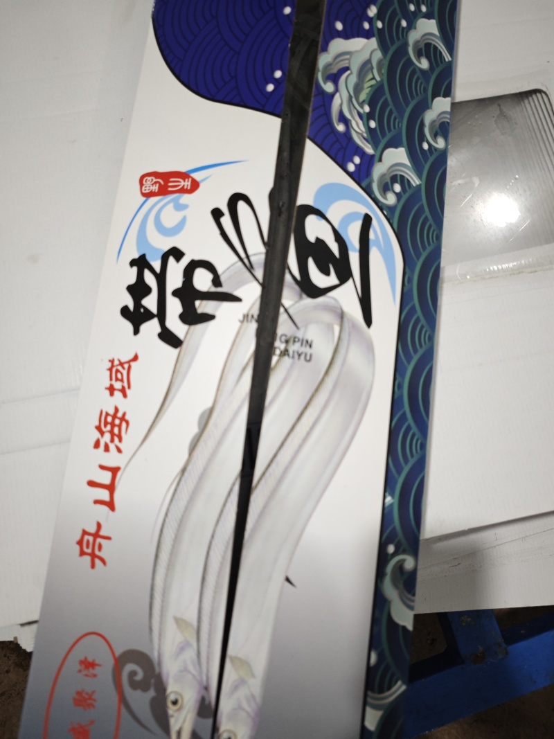 舟山带鱼今年鲜货欢迎广大新老客户考察
