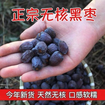 太行山无核黑枣