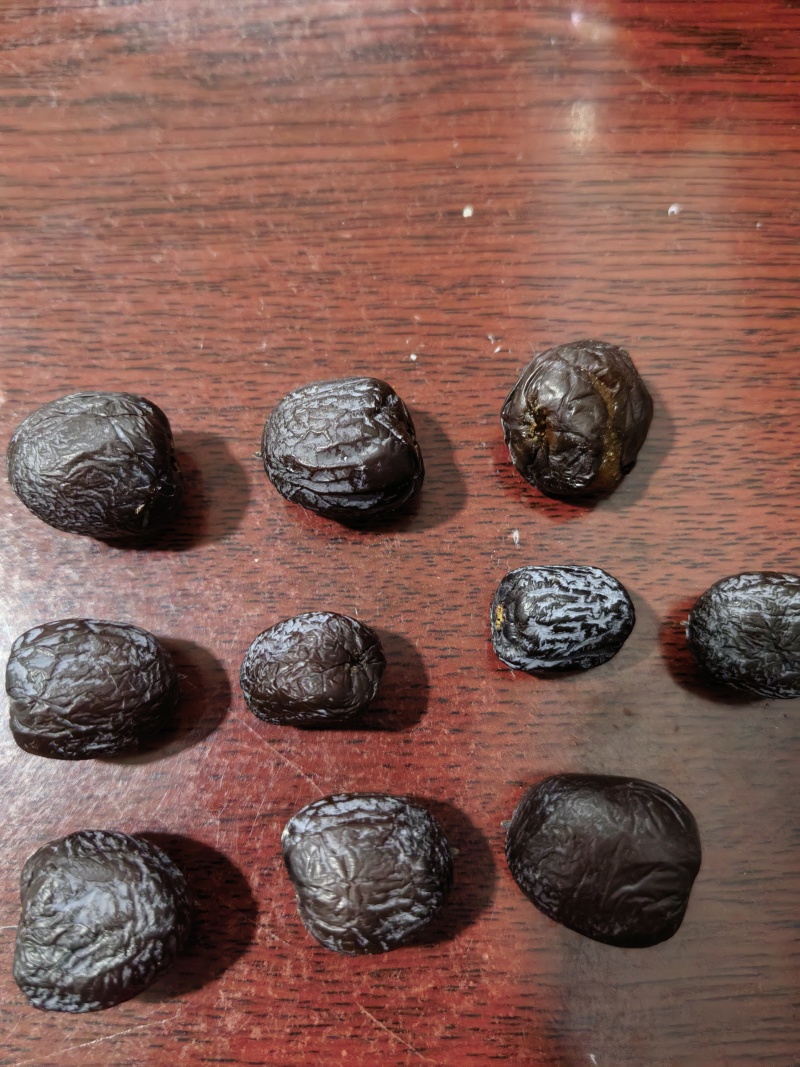 太行山无核黑枣