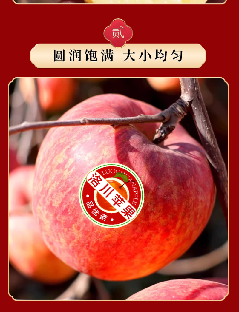 顺丰洛川苹果礼盒装高端员工福利一件代发甜脆多汁