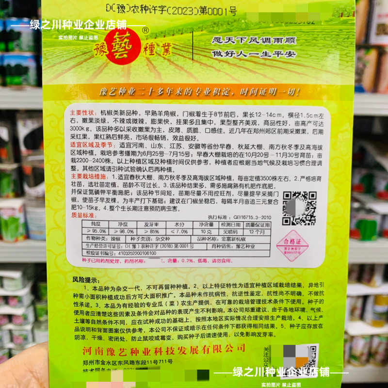 豫艺金富新杭椒种子新品种羊角椒种子皮薄质脆不辣或微辣杭椒