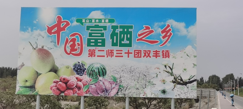 【推荐】新疆若羌灰枣一手货源供应市场商超电商量大价优