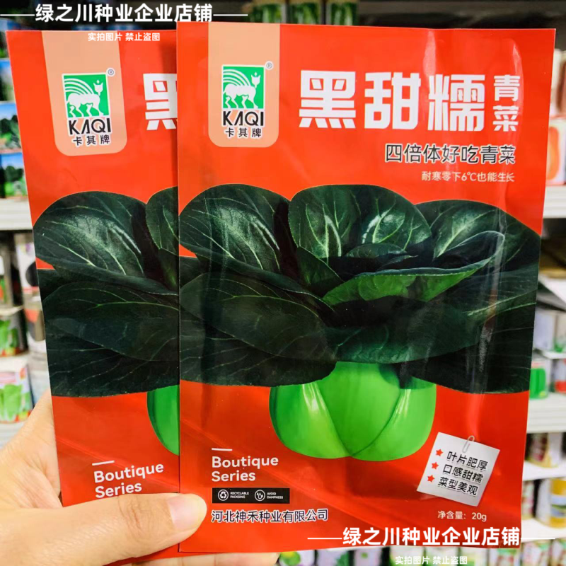 黑甜糯青菜种子四倍体好吃苏州青种子黑叶大头青梗菜种籽甜糯