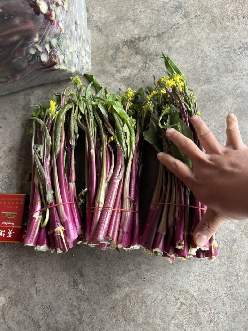 红菜苔