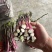 红菜苔