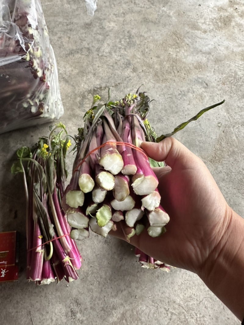 红菜苔