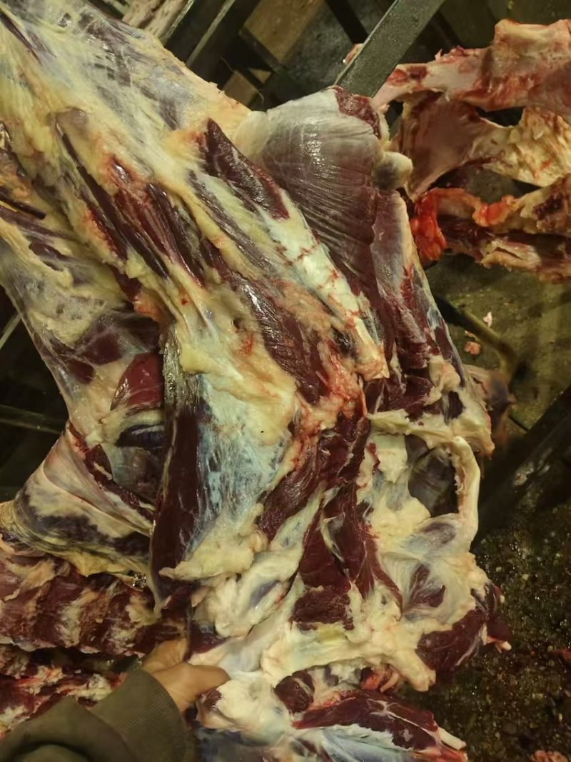 精品牛肉厂家直发品质保障对接全国市场等量大优惠