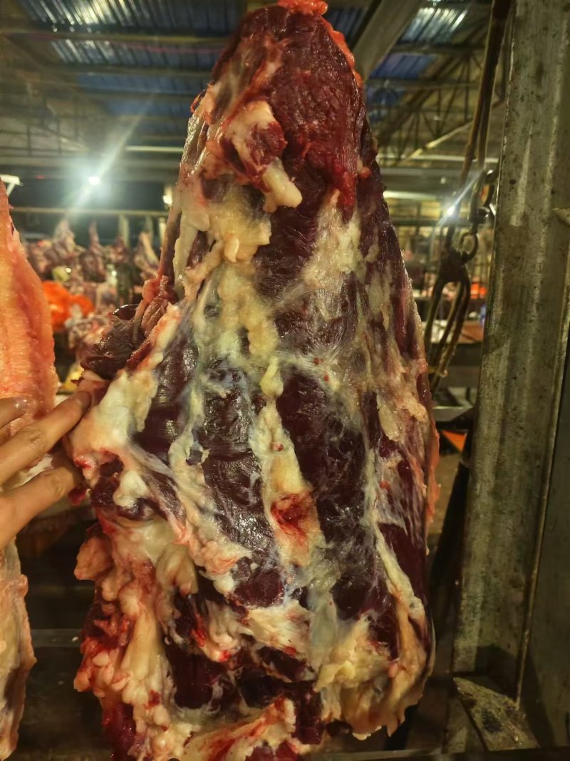精品牛肉厂家直发品质保障对接全国市场等量大优惠