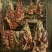 精品牛肉厂家直发品质保障对接全国市场等量大优惠