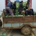 河南扁包菜奥奇那大量上市，超低价走车，可供电商和市场