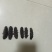 淡干海参辽参深海捕捞无污染大连淡干辽参