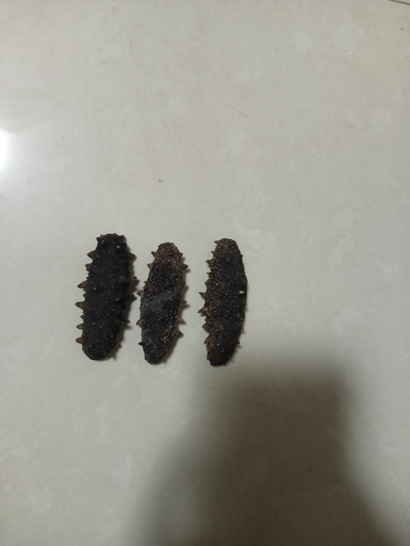 淡干海参辽参深海捕捞无污染大连淡干辽参