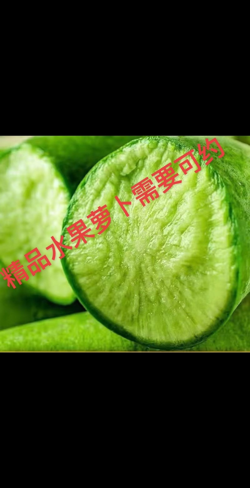 水果萝卜潍县青萝卜山东潍坊萝卜天星希卡利青克力帝王青绿帅